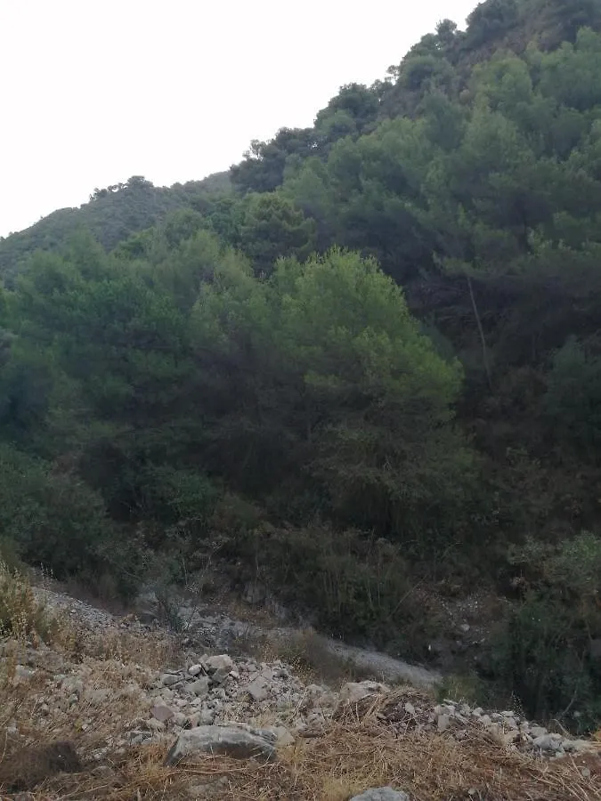 Casa Rural Celeste N1 N2 Frigiliana Acebuchal España